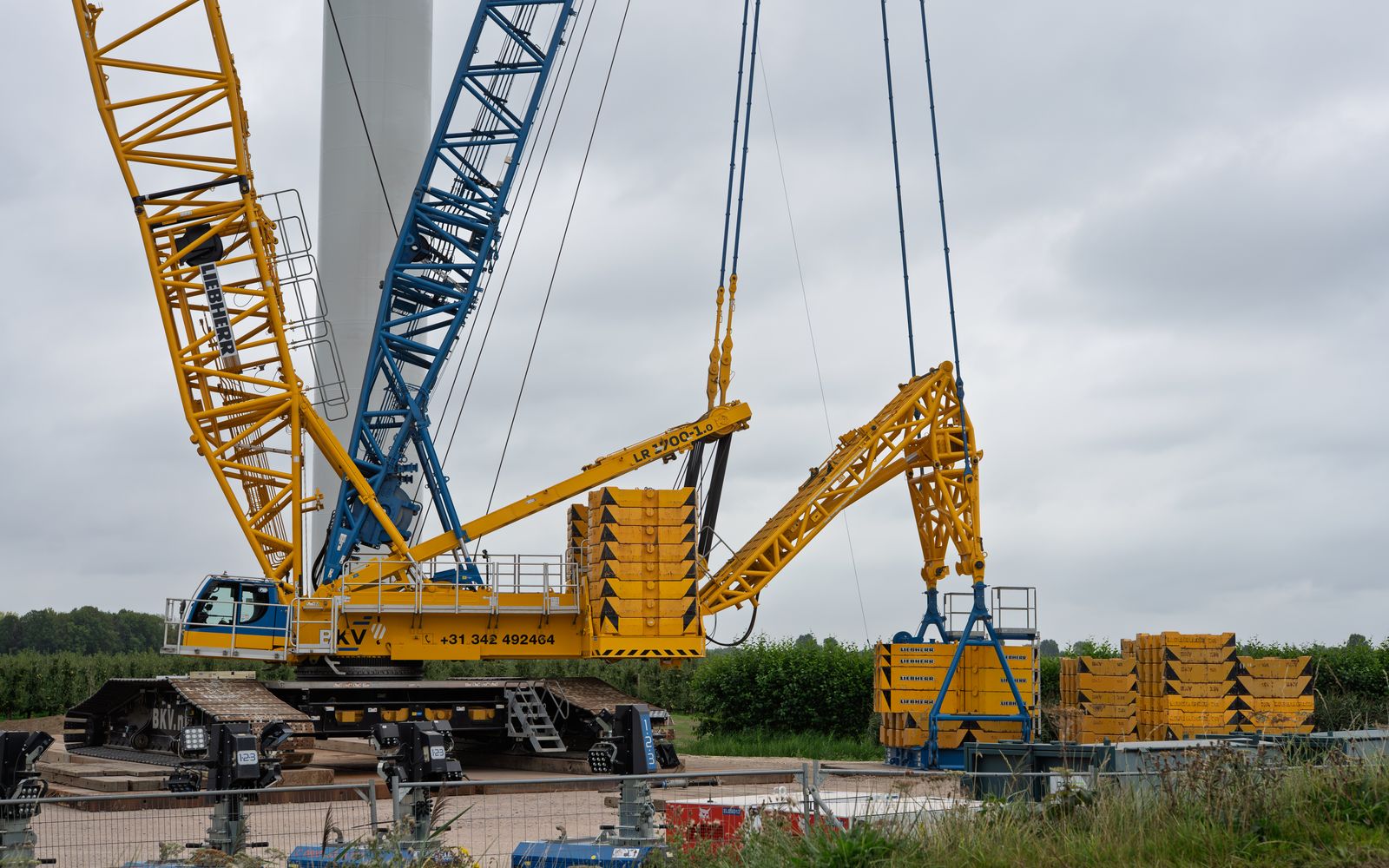 Crawler Cranes